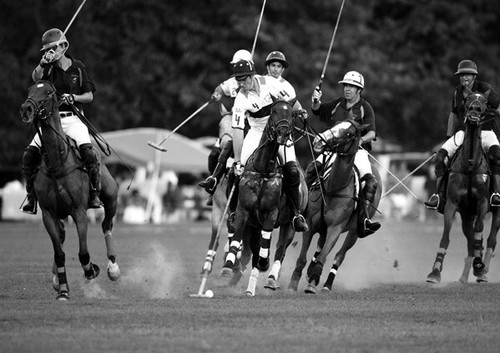 Quadro giocatori polo new - di,